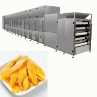 100kw Industrial Microwave Dryer Heating Type High Production Mango Drying Machine for Philippine Ma