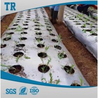 Silver and Black Mulch Film Agriculture Film Agriculture Vegetables Crops Compostable Mulch Film
