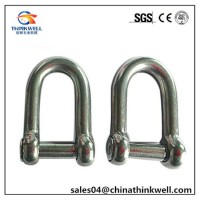 Forged Steel Large Dee Shackle with Slot Head Pin
