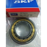 SKF Timken Koyo NSK Cylindrical Roller Bearing Nu2938q1/C3s0 Mi2938/P6s0 Nu2938/P63s0 Nu2938m/P63s0