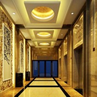 800KGVVVf Mrl Passenger freight elevator lift top brand manufacturer China price