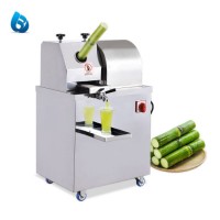 Stainless Steel Juicer Electric Sugarcane Juicer Extractor Machine Small Sugarcane Machine for Home