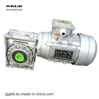 Chinese Electric Motor with RV Worm Gear Reducer