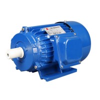 Y Series Three-Phase Asynchronous Electric/Electrical AC Motor