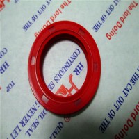 Mechanical Products Made of FKM Rubber Seal 22*38*10 NBR