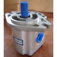 Hydraulic Gear Pump for Made in China (CBF-F430-ALPL)