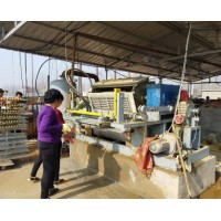 Export India Paper Egg Tray Molding Machine with Natural Drying