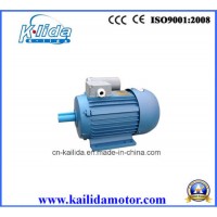 Singl Phase AC 220V Capacitor Start Induction Motor