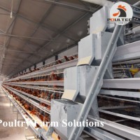 Chicken Cage for Poultry Farm