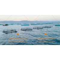 Aquaculture Floating Deep Sea Offshore Farming HDPE Pipe Fishing Farm Net Cage