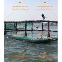 HDPE Floating Square Fish Farming Aquaculture Cage Project in Kenya Uganda Nigeria Ghana