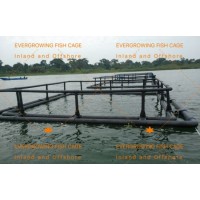 HDPE Uganda Floating Square Aquaculture Lake 6mx6m Fishing Net Cage