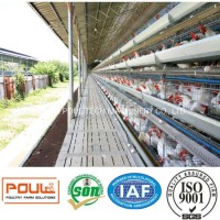 Hot Galvanized Egg Laying Chicken Farm Cage