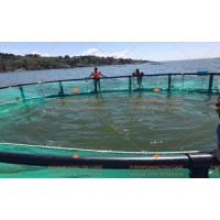 HDPE Floating Round Lake Tilapia Fish Farming Net Aquaculture Cages Fishery Equipment