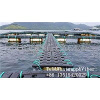 HDPE Aquaculture Equipment for Tilapia Fish Farming in Lake