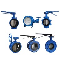 Ce Certificate Ductile Iron Cast Iron Butterfly Valve Factory