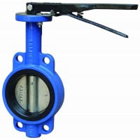 Butterfly Valve Wafer Lug and Flanged Type Concentric Valve or Double Eccentric Valves Pn10 Pn16 Pn2