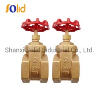 High Quality Brass/Bronze Gate Valve with Full Brass Material Pn16