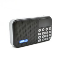 DAB/DAB+ Receiver Bandiii: 170-240MHz FM: 87.5-108MHz Bluetooth Music Player TF/USB MP3 Player LED D