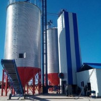 Full Automatic Hot Galvanized Steel Silo Plant for Paddy