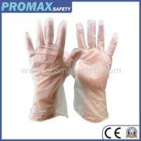 Disposable Vinyl Gloves for Food Processing