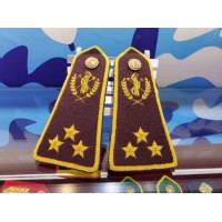 Custom Military Epaulets Pilot Epaulettes and Badge Formal Army Epaulette Security Army Uniform Acce