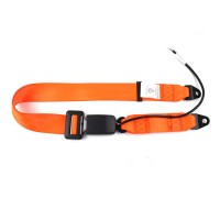 Fea007 Orange Color Webbing Standard 2 Point Seat Belt with Wire