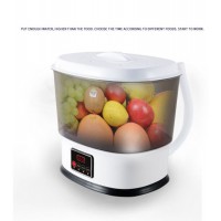 Home Use Kitchen Fruit and Vegetable Ozone Disinfection Machine Disinfection Washer