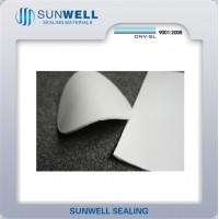 High Quality Expanded PTFE Sheet