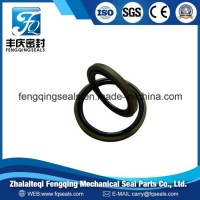 Wholesale Hole PTFE Hydraulic Components Spgo/Glyd Ring/ Fxmd