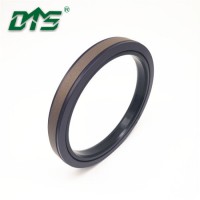 Hydraulic Cylinder Engineering Construction Machinery Bronze PTFE Piston Compact Seal Spgw