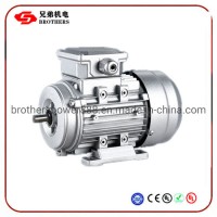 Ms Series Aluminum Shell Three-Phase Asynchronous Motor