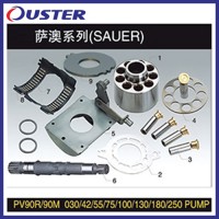 Hydraulic Pump Parts PV90r/90m 30/42/55/75/100/130/180/250 Repair Kit Spare Parts with Sauer