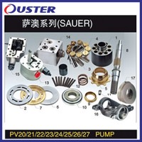 Hydraulic Pump Parts PV20/21/22/PVD22/23/PVD23/24/Spv6/119/25/26/112/Opv27 Repair Kit Spare Parts wi