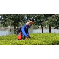36V Hedge Trimmer Lithium Battery Garden Tool with Fast Charger