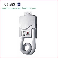 Hot Sales Skin Dryer Hair Dryer Hair Drier Hsd-9010