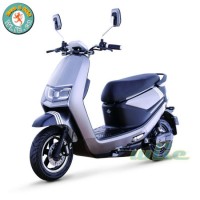 Electric Scooter 1200W Motor Scooter Electric Bike Battery Scooter EEC & Coc Scooter Gas Scooter E-B