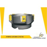 Fmp03-125-B40-Ln15-06 for Steel Hardmetal Matching Standard Milling Tools Cutter