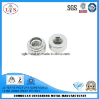 Flange Nut (White Zinc Plated) with High Quality