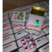 Fatzorb Effective Herbal Extract Slimming Pills