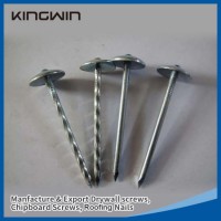 Factory Manufactured Galvanized Smooth/Twisted Shank 2.5"*Bwg9 Umbrella Head Roofing Nails with