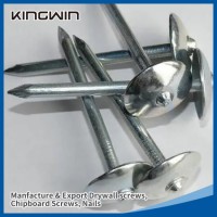 Factory Price Galvanized Smooth/Twisted Shank Umbrella Head Roofing Nails for Malawi Market with Car