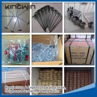 Bwg12*2" Galvanized Smooth Shank Umbrella Head Roofing Nails for Nigerialmarket with SGS Approv