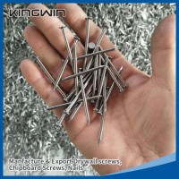 Common Nail/Building Nail/Wire Nail/Construction Nail/Iron Nail/Steel Nail Polished Common Nails wit