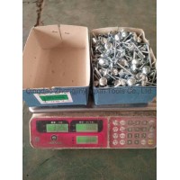Factory Manufactured Cheap Price 3.125kg/Box X 8boxes/CTN 10bwgx2 1/2" 12bwgx2" Galvanized