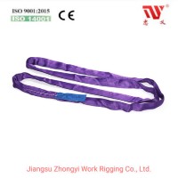 6: 1 8t Double Sleeve Polyester Endless Round Soft Sling
