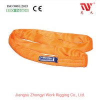 6: 1 10t Double Sleeve Polyester Endless Round Soft Sling