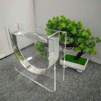 Home Decoration Tabletop Clear Acrylic Plexiglass Fish Tank