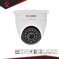 CCTV Security Surveillance True WDR 2MP IP Network Dome Camera
