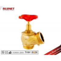 Fire Hydrant Valve 2.5inch Brass